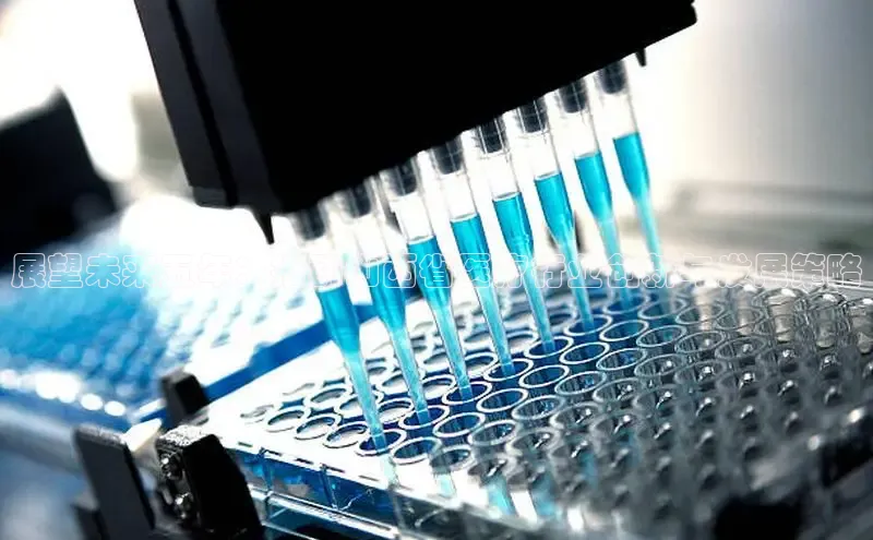 龙8客户端登录_官网app下载