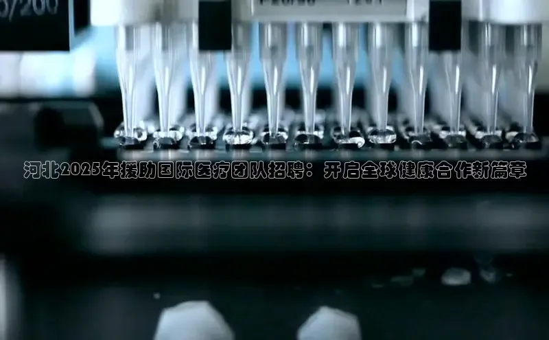 long8唯一官方网站登录头号玩家